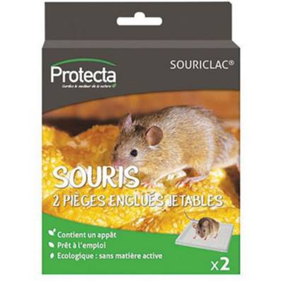 RATUCLAC SOURIS par 2 plaques 12x15cm