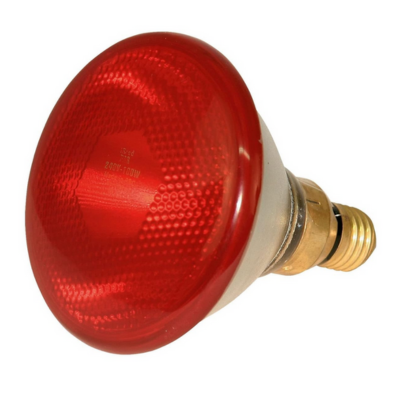 LAMPE IR 175 W rouge
