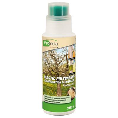 PHYTOPAST G Mastic à greffer en 250 Gr (A230)