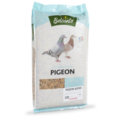 PIGEON SUPER BELCANTO en 20 Kg